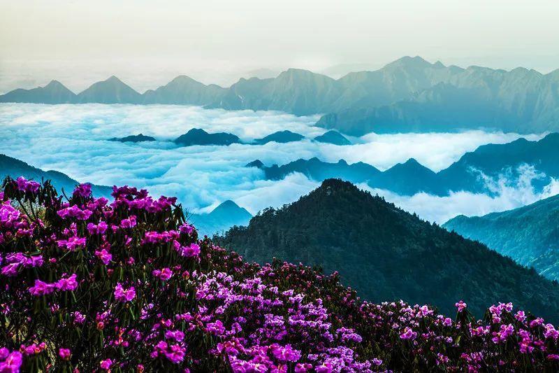 极限巅峰
